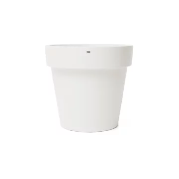 Classic 100 Studio - Bone