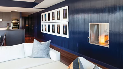 Firebox 650DB Fireplace Insert