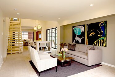 Museum of Science Chicago  - Designer fireplaces